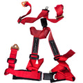 WILLANS RED 4-POINT SEAT BELTS